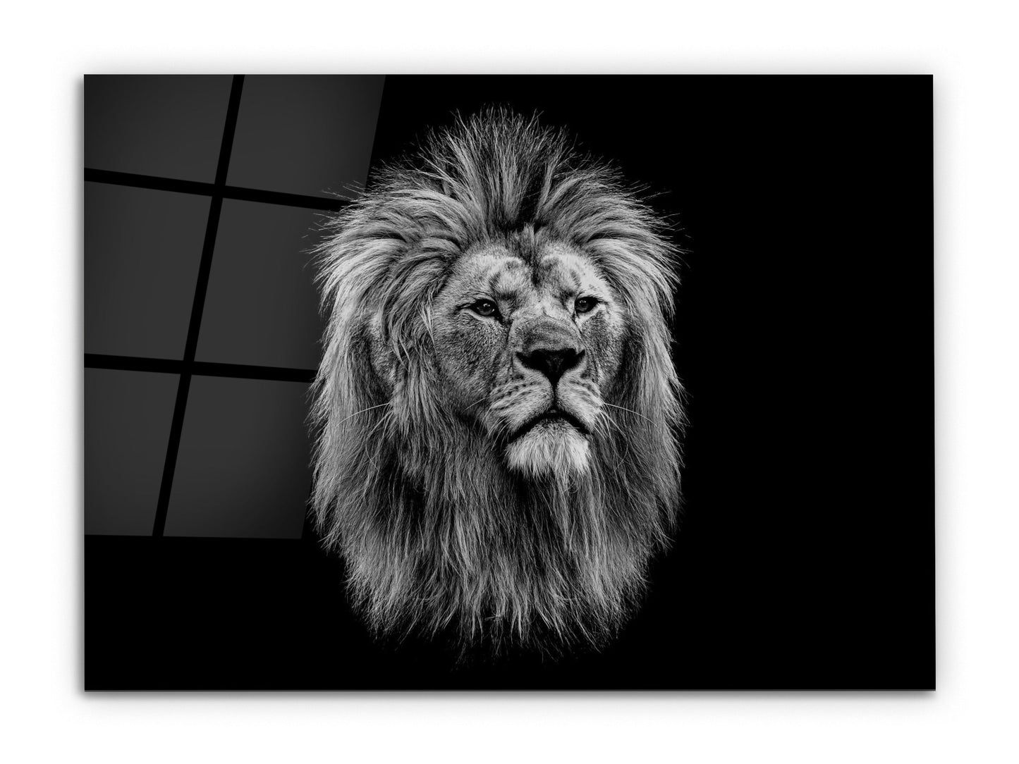 Lion Glass Printing Wall Art-Home Office Wall Painting Decoration