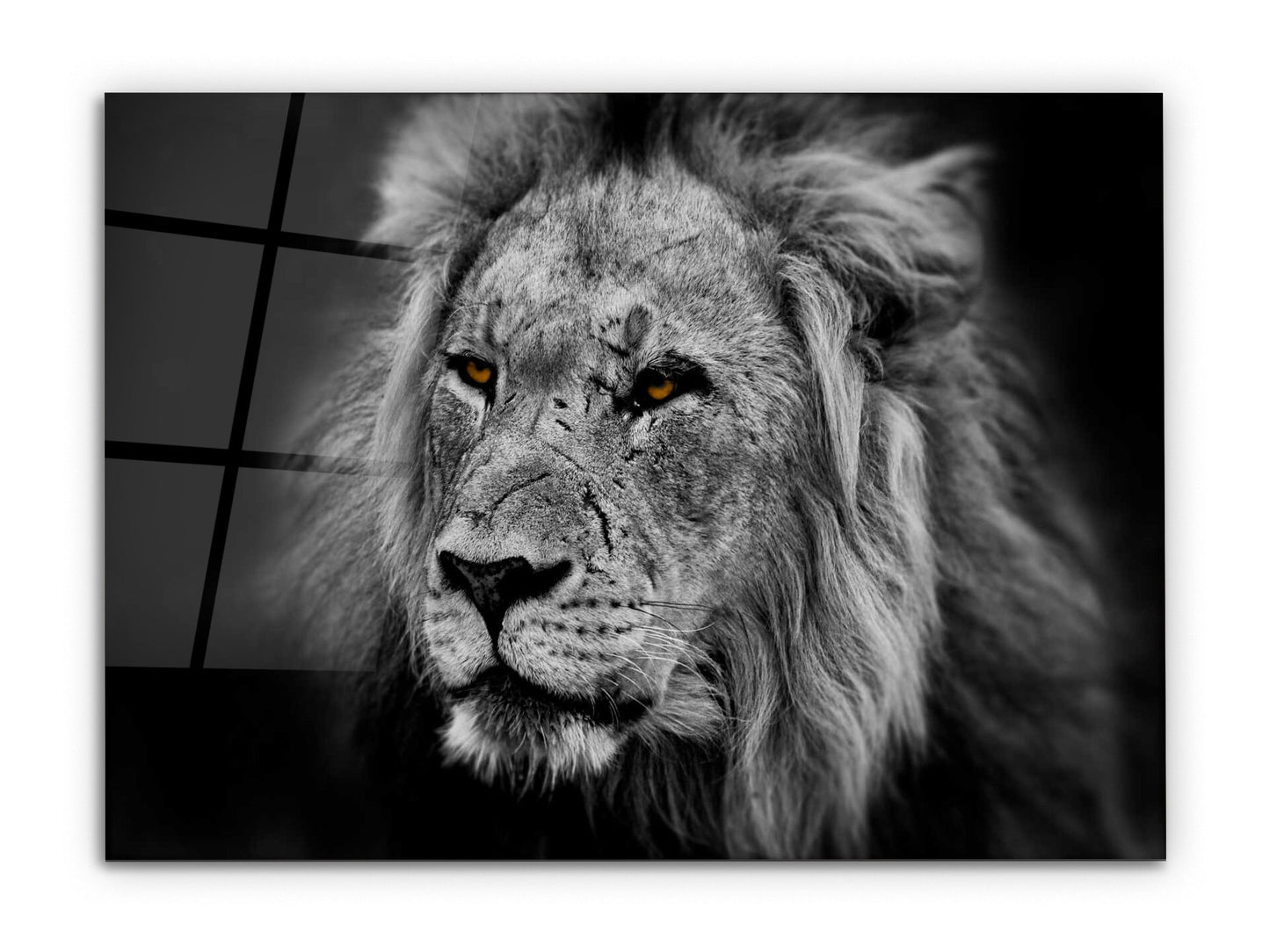 Lion Glass Printing Wall Art-Home Office Wall Painting Decoration