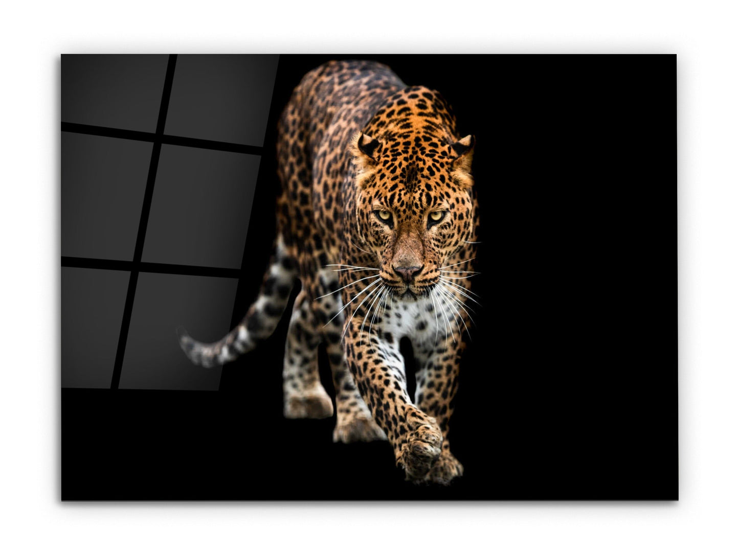 Leopard Glass Printing Wall Art-Home Office Wall Painting Decoration