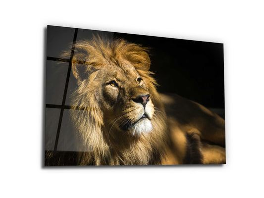 Lion Glass Printing Wall Art-Home Office Wall Painting Decoration