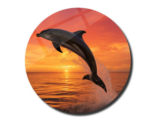Sunset&Dolphin Wall Art Decor-Home&Office Glass Printing Wall Painting